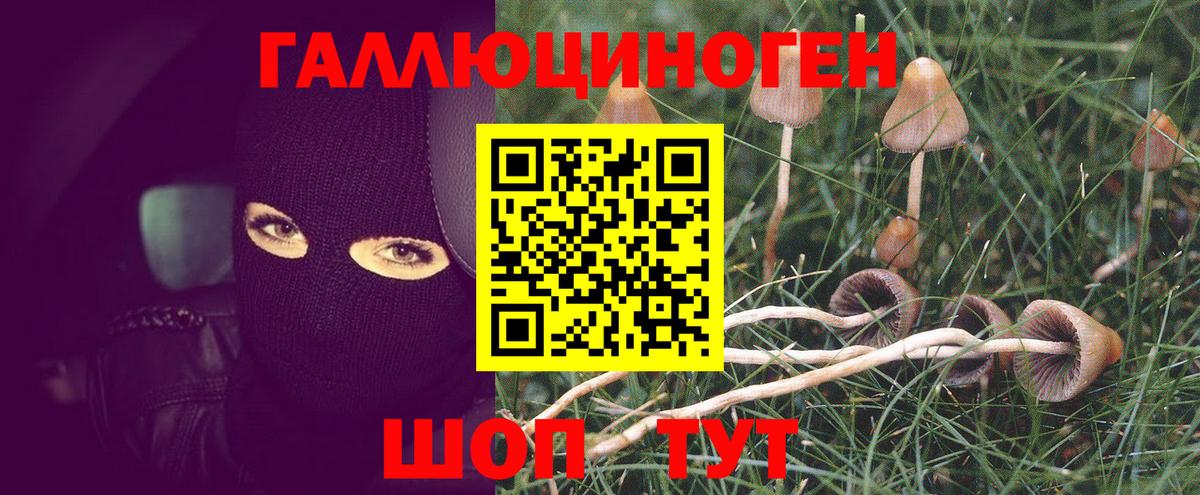 Псилоцибиновые грибы прущие грибы  Вход с VPN  Оренбург 